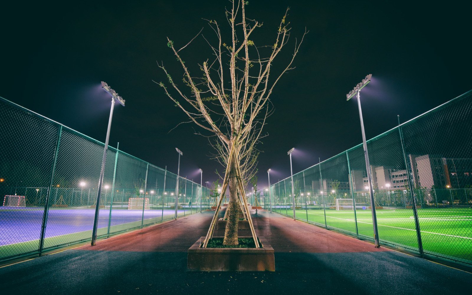 运动场夜景
